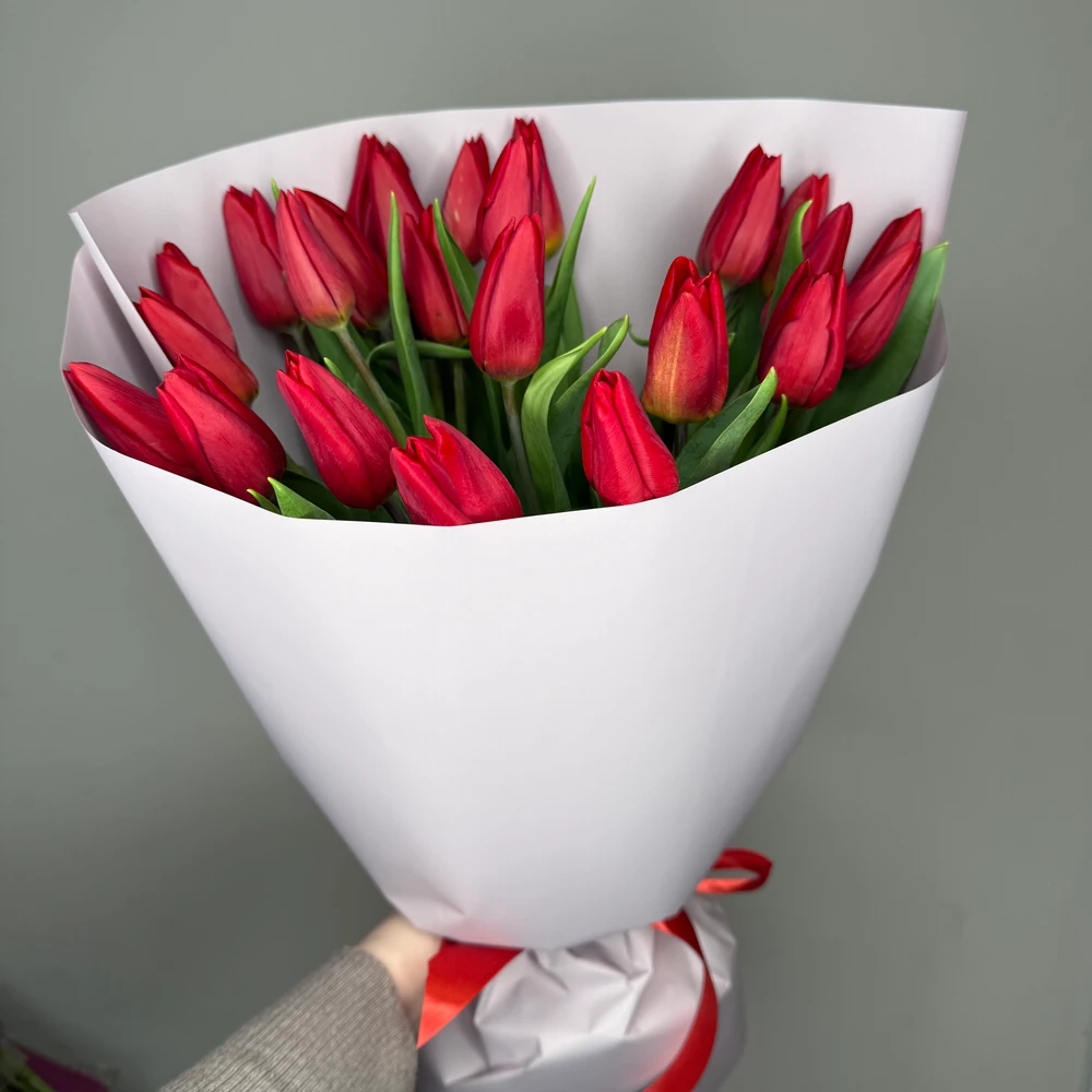 Букет красных тюльпанов 25 шт 