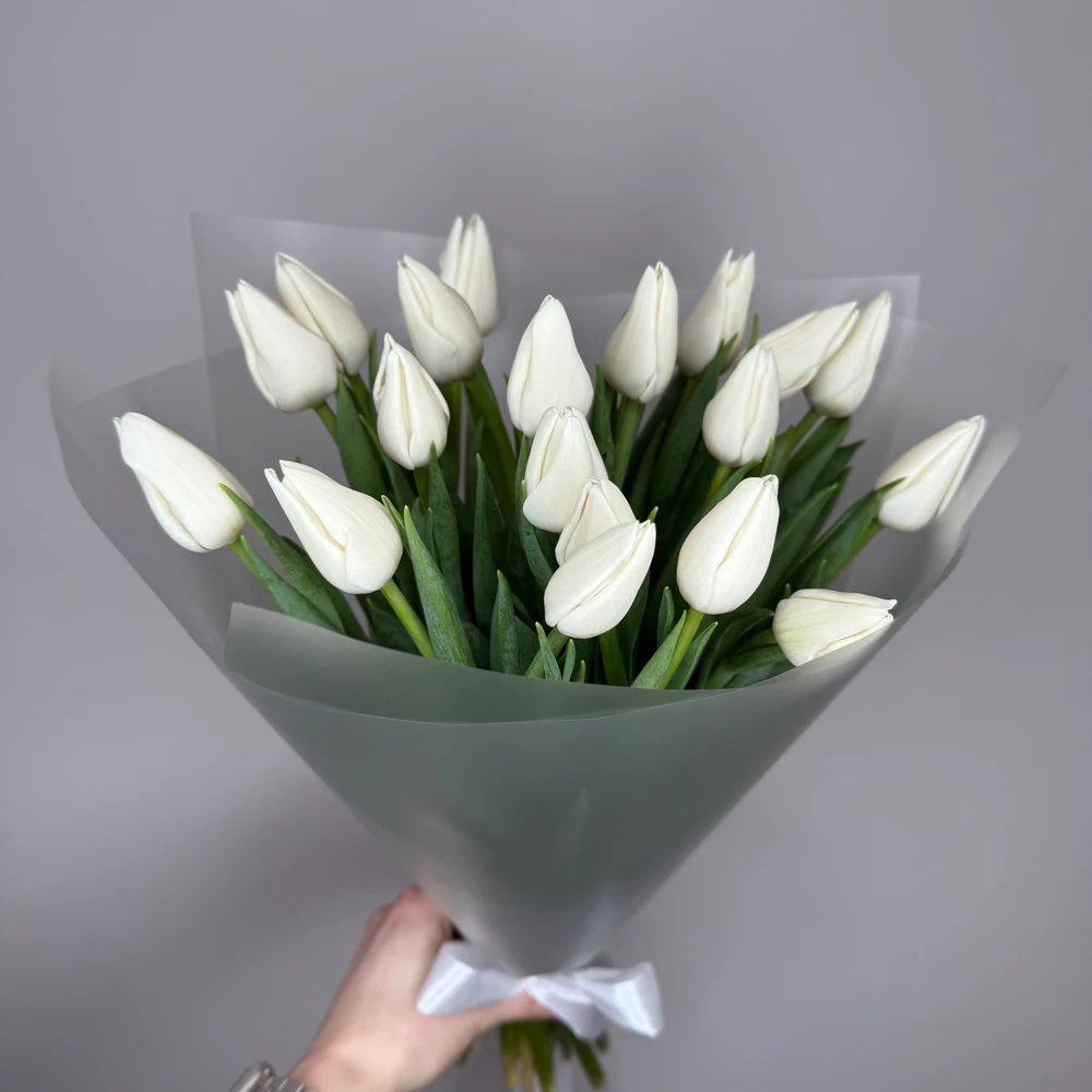 Букет белых тюльпанов 19 шт. 