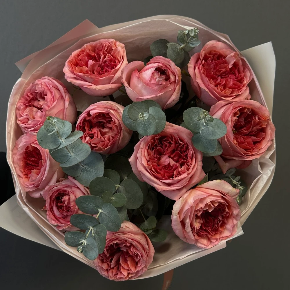 2025-11-21 16.08.40.jpg