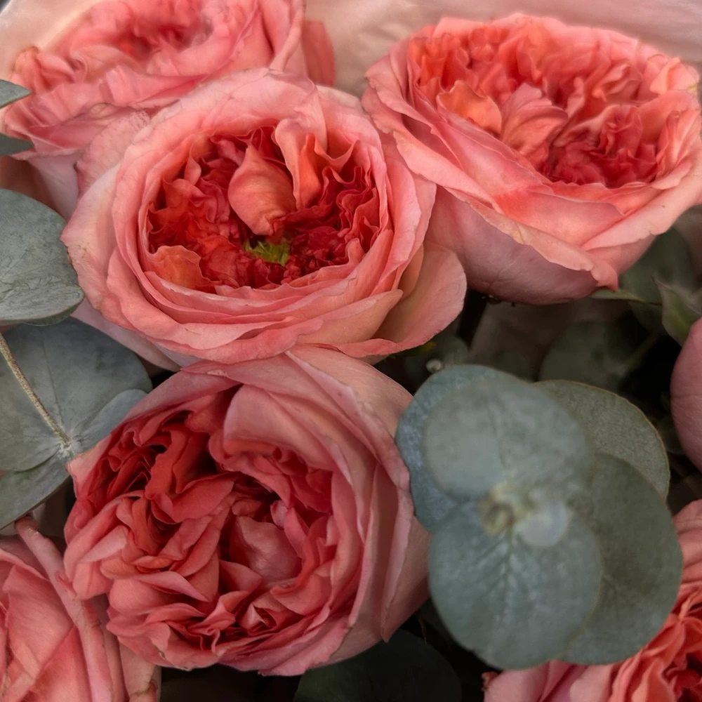 2025-11-21 16.08.46.jpg